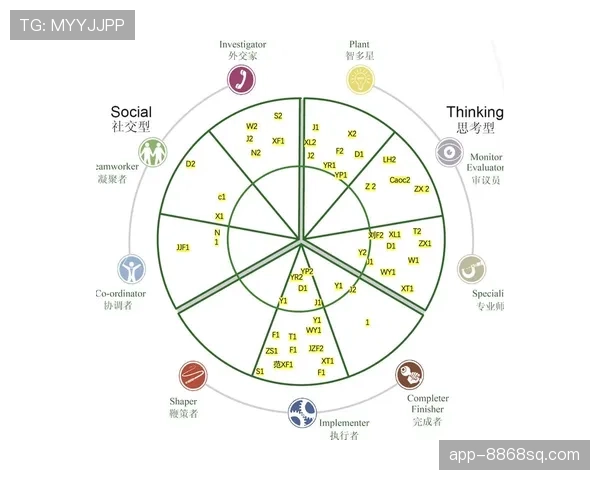 罗德里戈角色与体系适配度分析